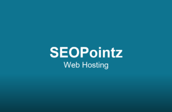 Ecommerce Category Page SEO: Optimizing Collection Pages for Traffic