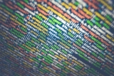 Web Hosting on a Budget: Cheap and Reliable Providers
