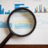 SEO for Pet Businesses: Dominating the Local Pet Market