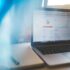 SEO for Pet Businesses: Dominating the Local Pet Market