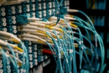 Web Hosting and Data Backup: Protecting Your Website’s Content