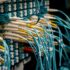 Web Hosting for Educational Institutions: Creating a Learning Platform