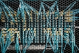 Web Hosting and Scalability: Preparing for Website Growth