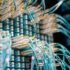 Web Hosting for Tech Startups: Supporting Your Digital Innovation