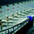Web Hosting for Non-Technical Users: Simplifying Website Management