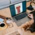 Ecommerce Chatbots: Enhancing Customer Service and Support