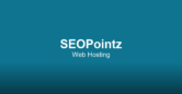 Ecommerce Category Page SEO: Optimizing Collection Pages for Traffic